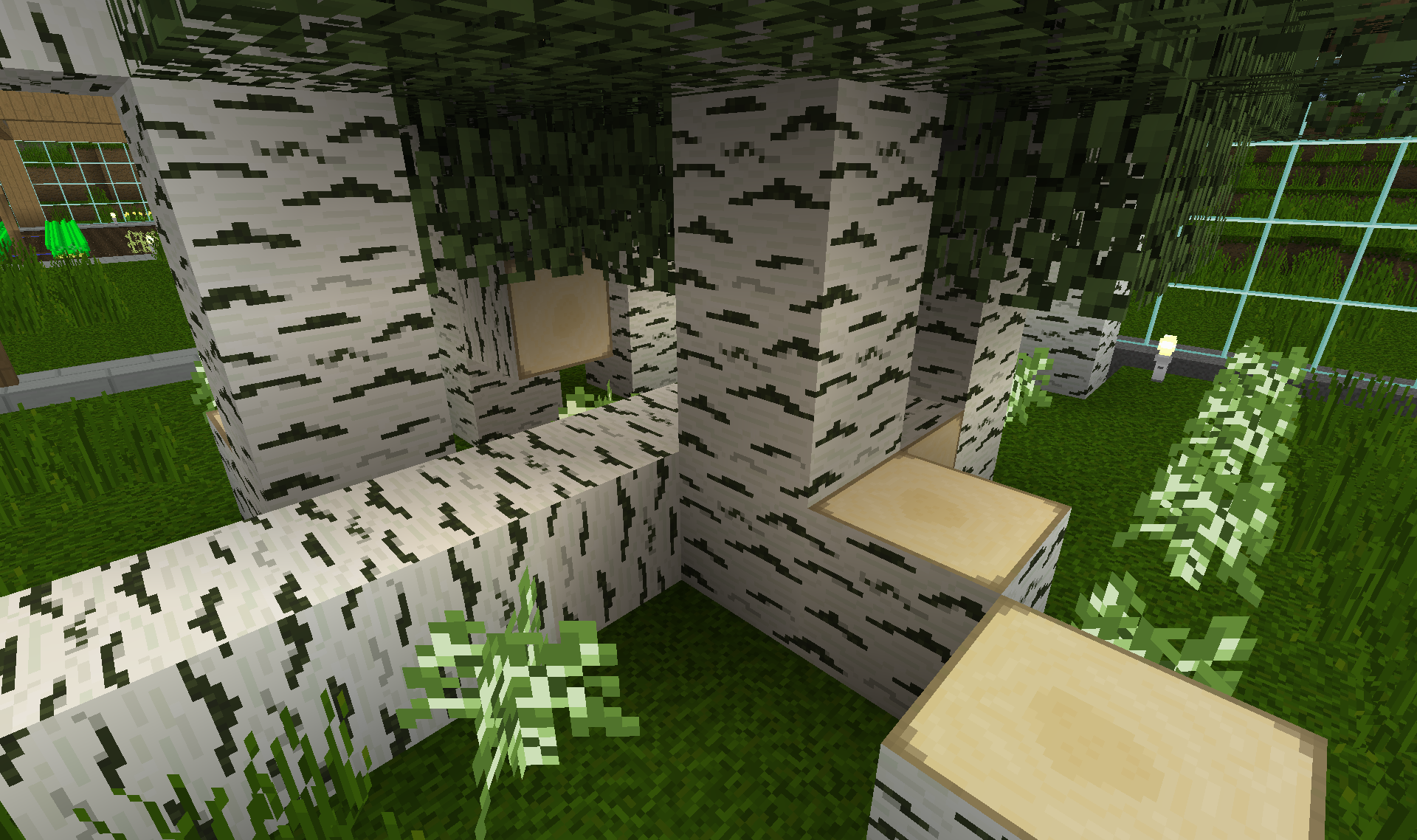 Birch forest sample.